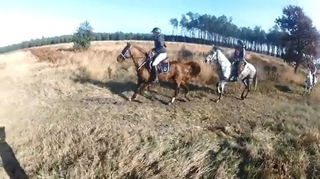 Endurance (Vidéo) : En immersion à la Plaine du Séqué - Equidia Life | Cheval et sport | Scoop.it