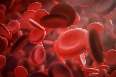 Arthritis drug may turn old blood young again | LongevityBluePrintRx | Scoop.it