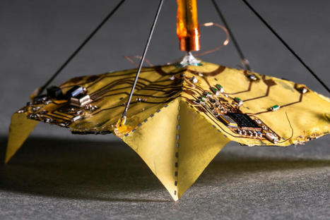 Ces robots en origami peuvent changer de forme - Usine Nouvelle | Pour innover en agriculture | Scoop.it