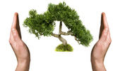 Sustainability Kit - Teacher Training Resources for Education for Sustainability | Sustainability resources for the Australian Curriculum | Scoop.it