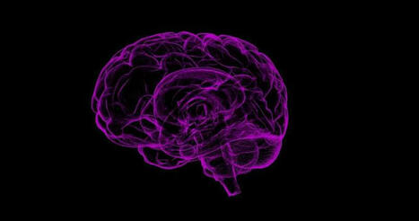 Loss of empathy is a key problem in people with frontotemporal dementia—here's what's happening in the brain | Empathy Movement Magazine | Scoop.it