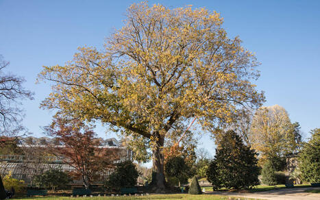 &laquo;&nbsp;Paris des m&eacute;tiers de demain&nbsp;&raquo;&nbsp;: rencontre des - Ville de Paris | Eco-conception | Scoop.it