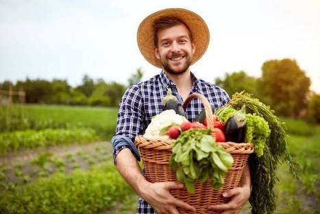 Les étapes pour se lancer dans le maraîchage bio | Création d'entreprise et business plan | Scoop.it