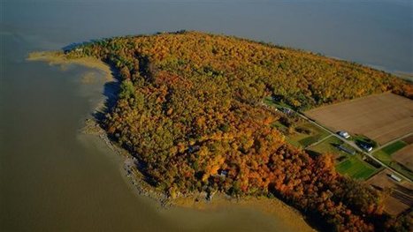 Unique ecosystems protected in St. Lawrence River | Biodiversité | Scoop.it