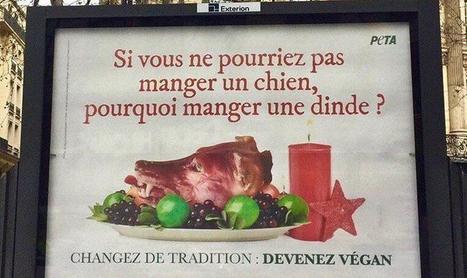 Une campagne de PETA vire à la polémique grammaticale | Je révise mon français grâce à la presse | Scoop.it