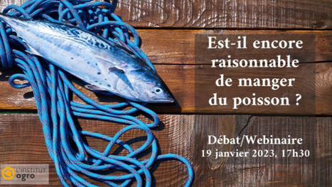 [Webinaire] Est-il encore raisonnable de manger du poisson ? | HALIEUTIQUE MER ET LITTORAL | Scoop.it
