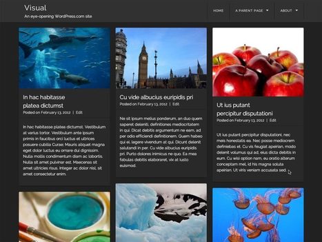 New Themes: Newsworthy and Visual | WordPress and Annotum for Education, Science,Journal Publishing | Scoop.it