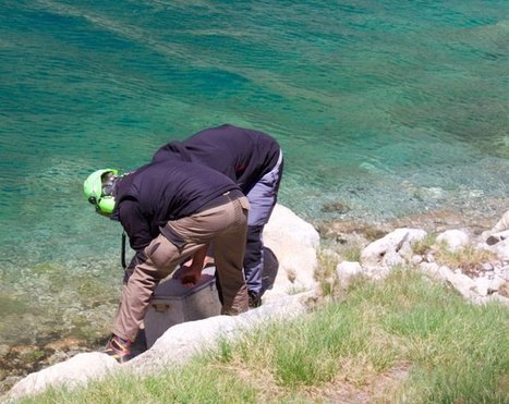 Bigorre : 260 000 alevins déversés dans les lacs  | Vallées d'Aure & Louron - Pyrénées | Scoop.it