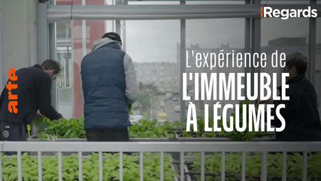 Regards, L'expérience de l'immeuble à légumes | ARTE | La SELECTION du Web | CAUE des Vosges - www.caue88.com | Scoop.it
