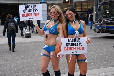 Photos of the Day: Lingerie Football League Throws a Flag on Fur - PETA (blog) (press release) | LFL - Lingerie Football League | Scoop.it