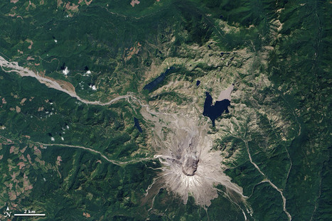 Life Reclaims Mount St. Helens | Télédétection veille IST INRAE & AgroParisTech | Scoop.it