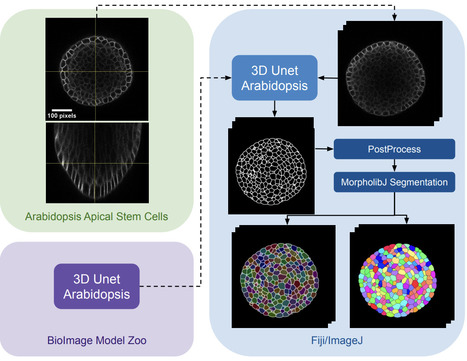 Biodegradation of polystyrene and systems biolo...