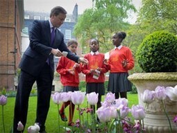 Poppy seeds for every school in the UK - PM launches centenary campaign - The Royal British Legion. | Autour du Centenaire 14-18 | Scoop.it