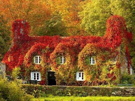 Une maison Toute Verte en automne | @ZeHub | Scoop.it