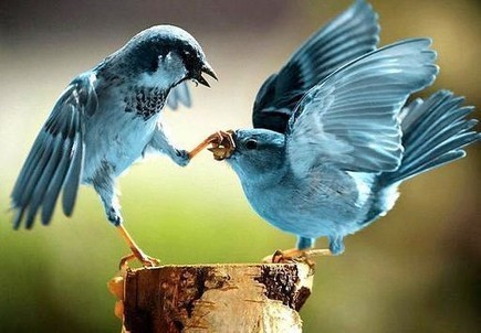 Twitter&rsquo;s multi-billion dollar mistake happened five years ago &mdash; Medium | Peer2Politics | Scoop.it