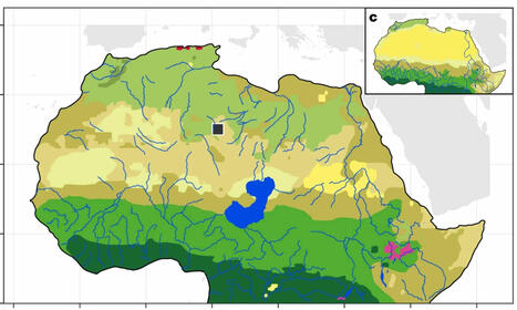Who lived in the Sahara desert the last time it was green and lush? | by Adrian Villellas | Earth.com | Schools + Libraries + Museums + STEAM + Digital Media Literacy + Cyber Arts + Connected to Fiber Networks | Scoop.it