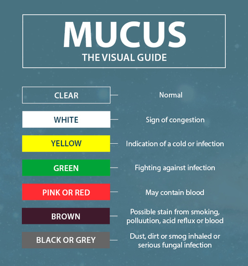 So What Does The Color Of Your Mucus Mean Mucus Color 