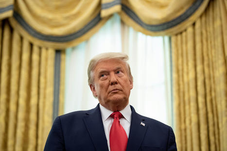 New York tenants sue Donald Trump for rent fraud scheme affecting up to 14,000 apartments in buildings owned by his father - The Independent | Operation Deimos | Scoop.it