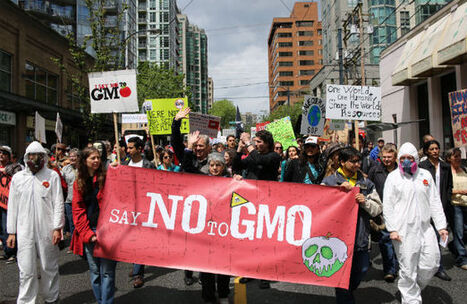 How Congress Just Stuck It to Monsanto | The Nation | @The Convergence of ICT, the Environment, Climate Change, EV and HEV Transportation & Distributed Renewable Energy | Scoop.it