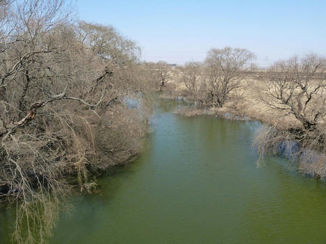 Coal mine acidic water spillage into Wilge River system kills ‘all life, everything’ / le 24.02.2022 | Pollution accidentelle des eaux par produits chimiques | Scoop.it