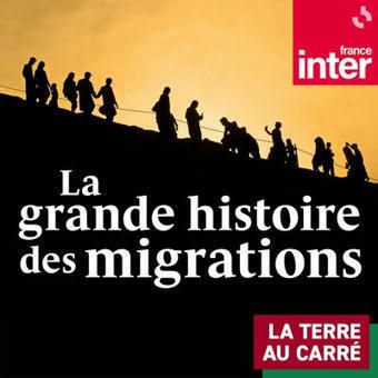 La grande histoire des migrations : un podcast à écouter en ligne | Insect Archive | Scoop.it