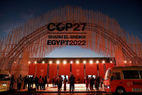 More Than 600 Fossil Fuel Lobbyists Attend COP27 - EcoWatch.com  | Agents of Behemoth | Scoop.it