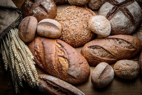 UK: Approves gene-edited safer wheat in landmark precision breeding milestone | EUROPES | Scoop.it