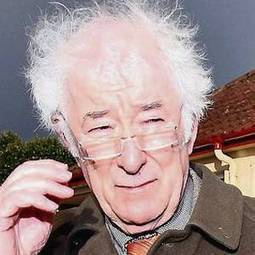 Rush to reprint Heaney as collections are sold out - Independent.ie | Seamus Heaney - In Memoriam | Scoop.it