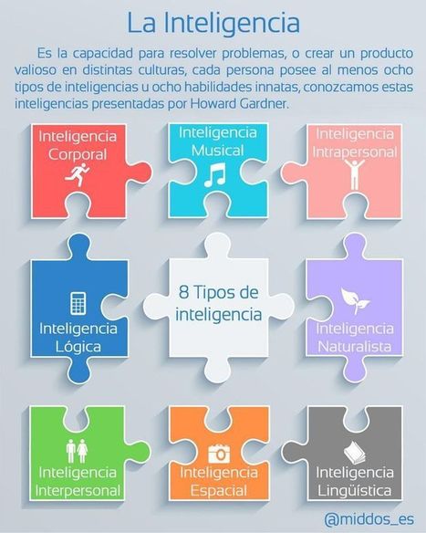 Los 8 tipos de inteligencia | Didactics and Technology in Education | Scoop.it