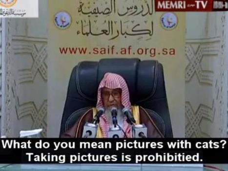Senior Saudi cleric bans people from taking selfies with cats | Episode 3: Extra News | Scoop.it