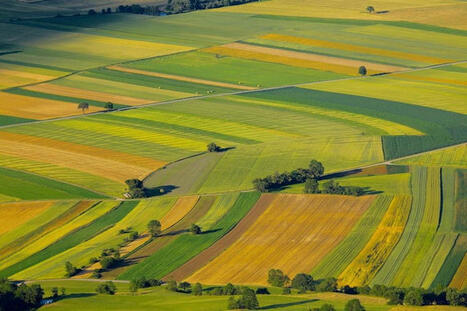 Secteur agricole : la France en tête de l'Europe pour l'agriculture | Paysage - Agriculture | Scoop.it
