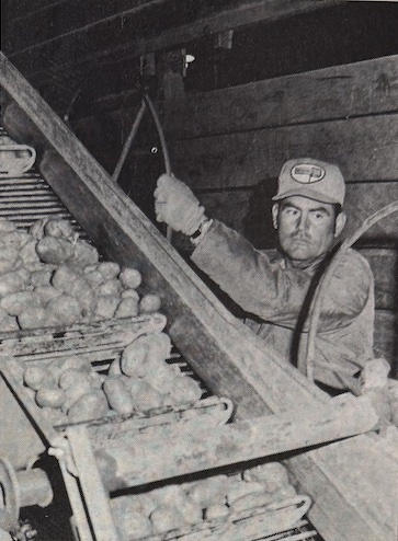 Flashback: Popular film arrives by air 75 years ago | Industry 411 - Waste Management | Scoop.it