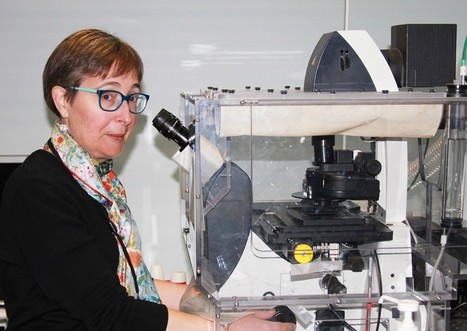 Rachel Méallet-Renault : Faire toute la lumière | Life Sciences Université Paris-Saclay | Scoop.it