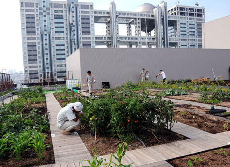 Garden on the bay plots agricultural revival | The Japan Times Online | The Asian Food Gazette. | Scoop.it