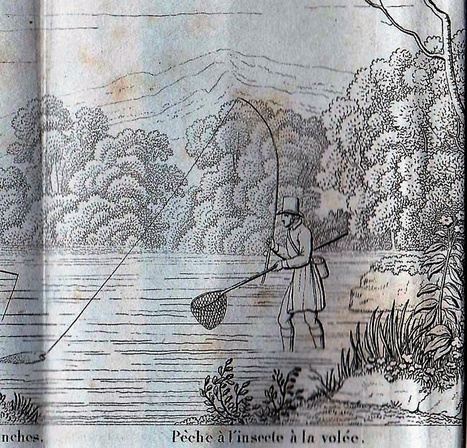 La pêche à l'insecte au 19e siècle - L'Agrion de l'Oise | Insect Archive | Scoop.it