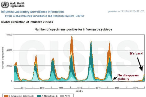 Julius Ruechel: The False God of Central Planning: The Mysterious Reappearance of the Flu, Natural vs Vaccine-Induced Immunity, the Inability of the Vaccines to Control the Virus | Health Supreme | Scoop.it