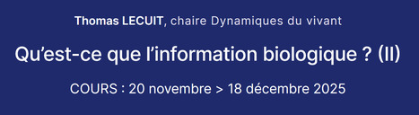 Thomas Lecuit : Dynamiques du vivant | Coll&egrave;ge de France | EntomoScience | Scoop.it