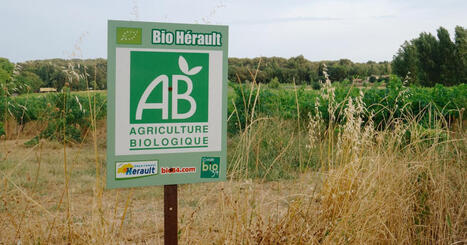 FRANCE : Cadmium&nbsp;: faut-il vraiment privil&eacute;gier les aliments bio pour prot&eacute;ger&nbsp;sa sant&eacute;&nbsp;? | CIHEAM Press Review | Scoop.it