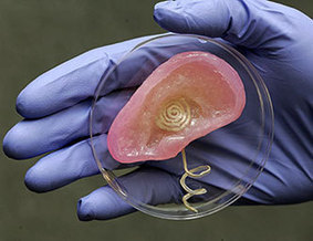 Princeton University Creates Bionic Ear With Superhuman Hearing Abilities (VIDEO) | Healthcare: reloaded... | Scoop.it