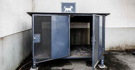 Koiranomistajat luopuvat lemmikeist&auml;&auml;n yh&auml; herkemmin &ndash; el&auml;insuojelu&shy;yhdistykset puhuvat jo koirakriisist&auml; | Keski-Suomi | Yle | 1Uutiset - Lukemisen t&auml;hden | Scoop.it