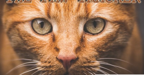 paw tracker for cats