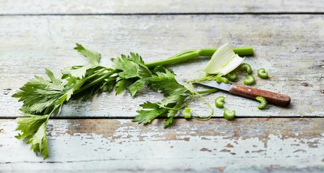 Cèleri branche. Aphrodisiaque… Ah, bon ? - Oui ! Le magazine de la Ruche Qui Dit Oui ! | IPCI : Ingénierie de Produits à l'interface Cuisine-Industrie | Scoop.it