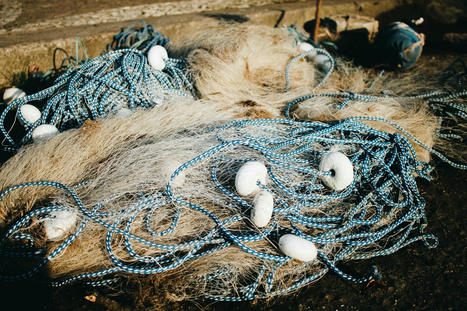 A Fisherman’s Guide to Deep Leadership Waters | Vision Album | Scoop.it