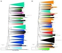 Database: NIBLRRS: Functional and Comparative Genomics of Disease Resistance Gene Homologs (2003) | Plants and Microbes | Scoop.it