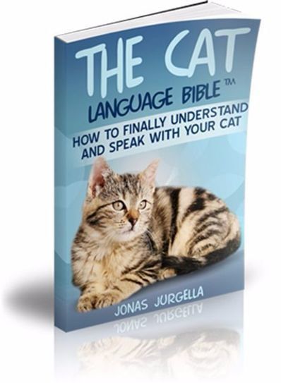 Jonas Jurgella's The Cat Language Bible PDF Ebook Download Free | Ebooks & Books (PDF Free Download) | Scoop.it