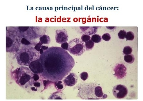 La causa principal del cáncer: la acidez orgánica | PIENSA en VERDE | Scoop.it