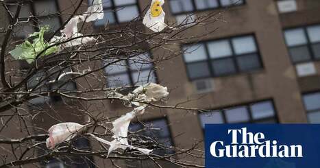 Lobbyist claims that New York anti-plastic bill would harm people of color called ‘misleading’ | New York | The Guardian | Industry 411 - Waste Management | Scoop.it