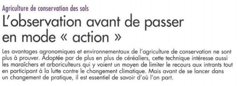 [INP-ENSAT] Agriculture de conservation des sols - L'observation avant de passer en mode « action » | Que sont-ils devenus ? | Scoop.it