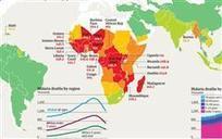 Data Science Is the New Black | information analyst | Scoop.it