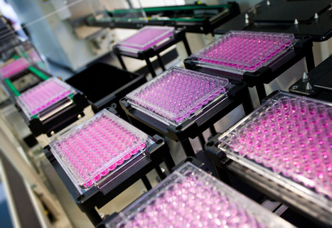 #Santé #Biotechnologies, l’innovation creuse son sillon en #Gironde | La santé et biotechnologies à Bordeaux et en Gironde | Scoop.it